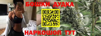 мяу мяу мука Нарткала