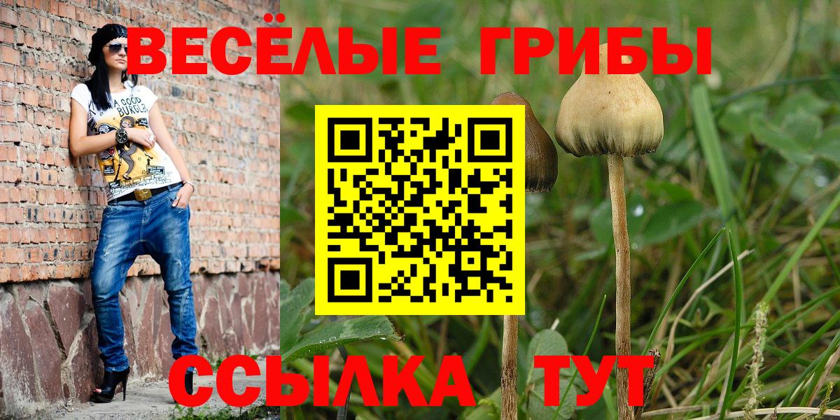 Галлюциногенные грибы Psilocybine cubensis  Вход с VPN  Дятьково 