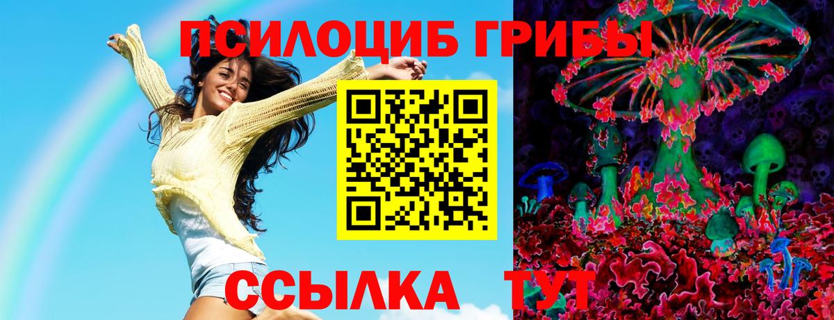 Псилоцибиновые грибы Psilocybine cubensis Дятьково